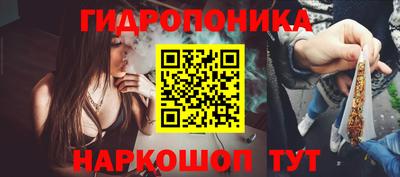 прущие грибы Кингисепп