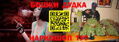 PSILOCYBIN Кандалакша