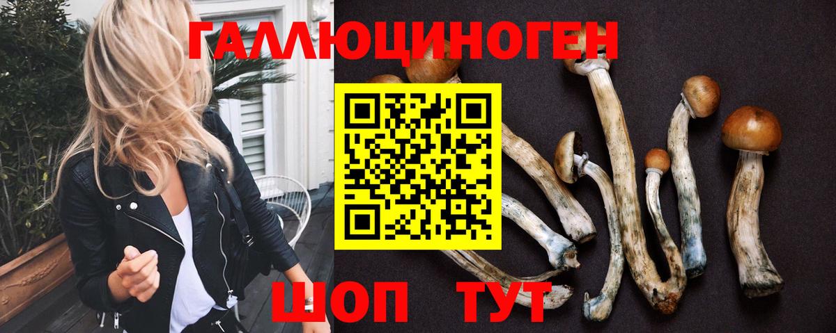 Галлюциногенные грибы Psilocybe  Вход с VPN  Крымск 